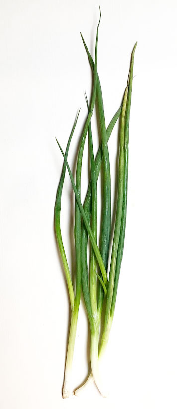 Spring onion (Indonesian/Malay: daun bawang)
