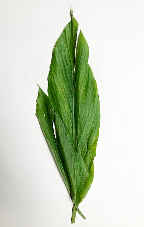 Turmeric leaves (Indonesian/Malay: daun kunyit)