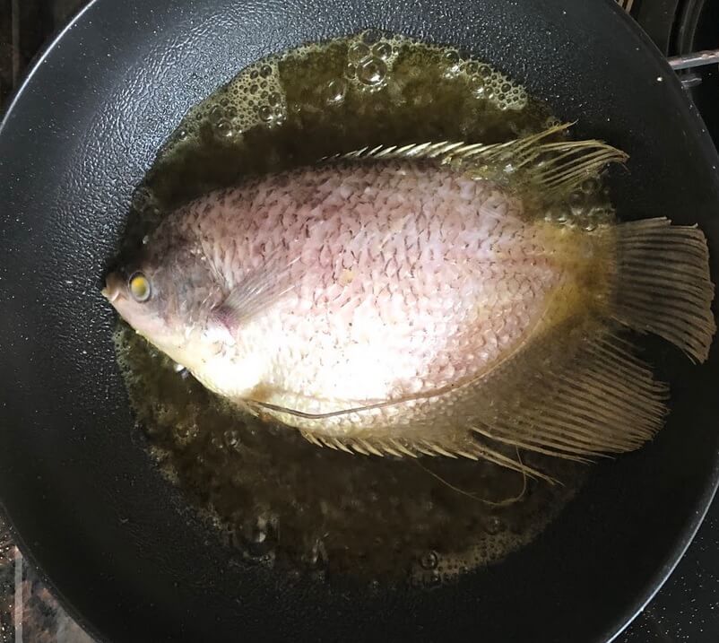 Fry the fish