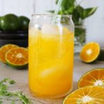 Es Jeruk: Iced Orange Juice (Vegan)